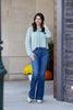 The Becca from Judy Blue: High-Rise Flare Denim