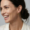 Sculpted Huggie Earrings in Gold
