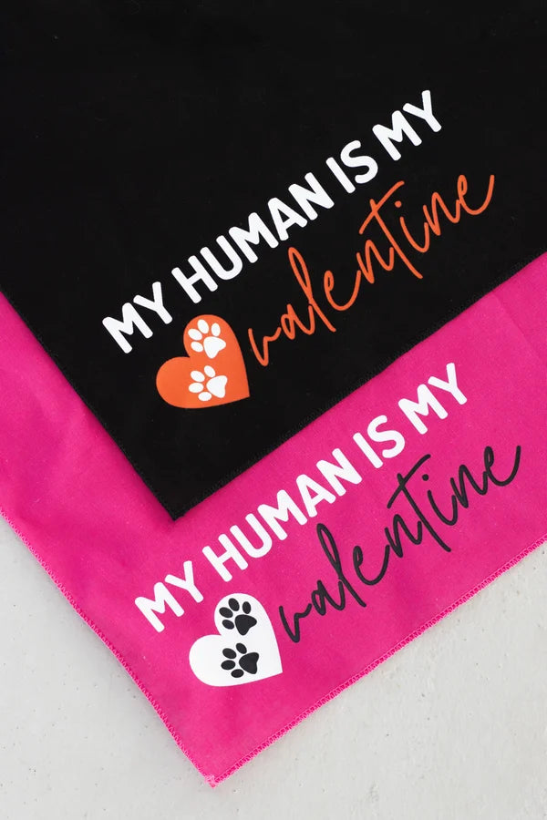 My Human Is My Valentine Doggie Bandana *Final Sale*